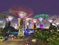 Tham quan khu vườn Gardens by the Bay tuyệt đẹp ở Singapore