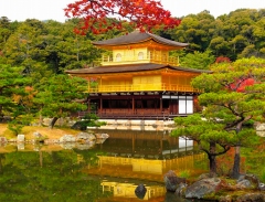 Viếng thăm Chùa Vàng nổi tiếng ở cố đô Kyoto