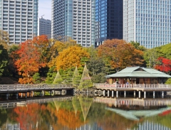 Thăm thú công viên chứa hồ nước mặn Hami-rikyu giữa lòng Tokyo 