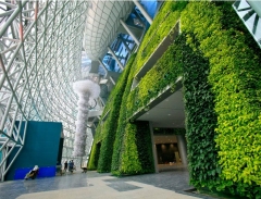 Chiêm ngưỡng công trình độc đáo Vườn trên tường của thủ đô Seoul