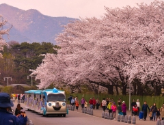 Ngợp mắt trước không gian rộng lớn tại Công viên Seoul Grand 