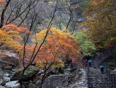 Khám Phá Thành Phố Chuncheon - Thủ Phủ của Gangwon