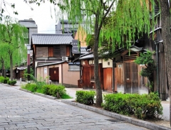 Minami - Vùng đất cố kính của Kyoto