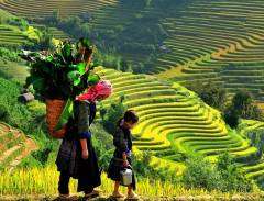Người lạ ơi cùng tôi chinh phục nét độc đáo bản Tả Phìn Sapa