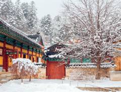 Tham quan đền Woljeongsa nghìn năm tuổi ở Gangwon