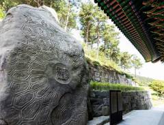 Ghé thăm làng Donguibogam - kho dược liệu quý nơi quê hương huấn luyện viên Park Hang-seo