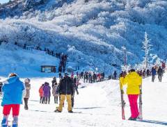 Đến Gangwon trải nghiệm ngay khu trượt tuyết Phoenix Park Resort siêu hấp dẫn