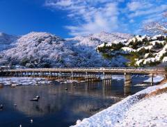 Đến Arashiyama của Kyoto thưởng ngoạn cảnh đẹp như tranh vẽ