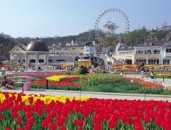 Everland - công viên giải trí hàng đầu Hàn Quốc