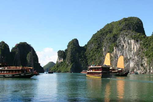 cau chuyen dao Titop