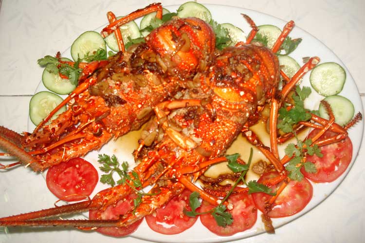 Tôm Hùm - Hạ Long