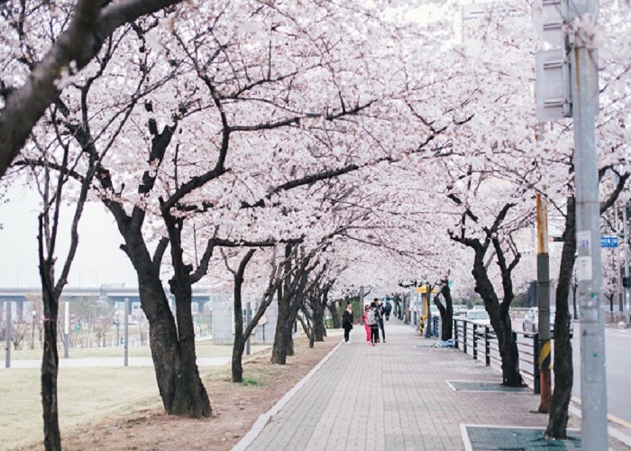 Du Lịch Nhật Bản: HCM - Fukushima - Nikko - Tokyo - Niigata 6N Bay VJ