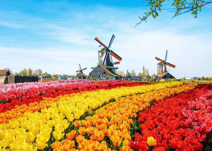 Du Lịch Châu Âu: Đà Nẵng/Nha Trang - Đức - Luxembourg - Pháp - Bỉ - Hà Lan - Đức 9 Ngày Bay Thẳng Vietnam Airlines