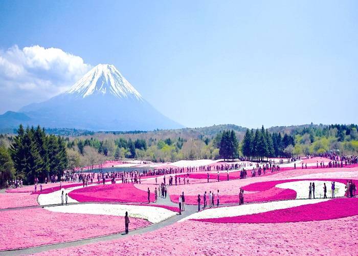 Du Lịch Nhật Bản: HCM - Kansai - Nara - Kyoto - Arashiyama - Osaka 3N3Đ Ngày Bay VJ