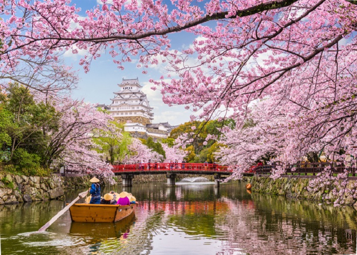 Du lịch Nhật Bản: HCM - Tokyo - Yamanashi - Owakudani - Fuji 5 Ngày Bay All Nippon Airways