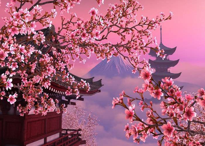 Du Lịch Mùa Anh Đào Nhật Bản: HCM - Tokyo - Hakone -  Fuji  - Yamanashi 4N