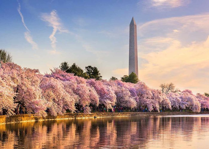 Du Lịch Hoa Kỳ: New York - Philadenphia - Washington DC 7 Ngày