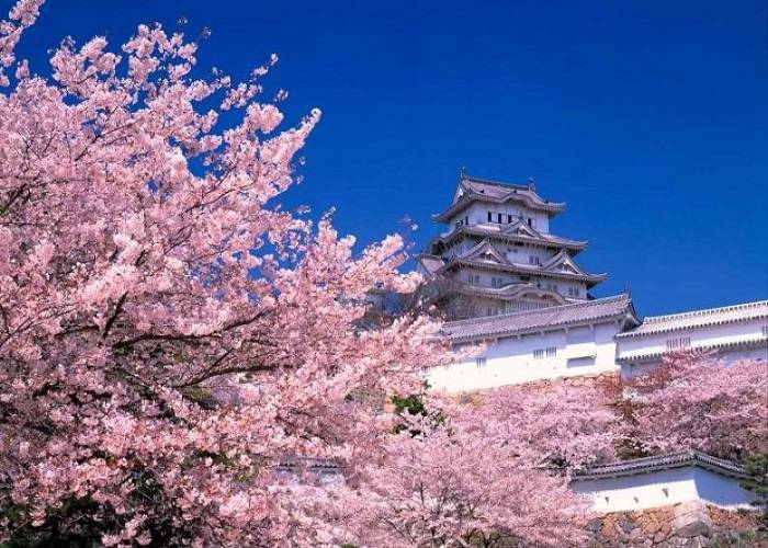 Du lịch Nhật Bản: HCM - Tokyo - Yamanashi - Fuji 5 Ngày