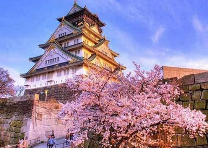 Du lịch Nhật Bản: HCM - Tokyo - Yamanashi - Fuji 5 Ngày