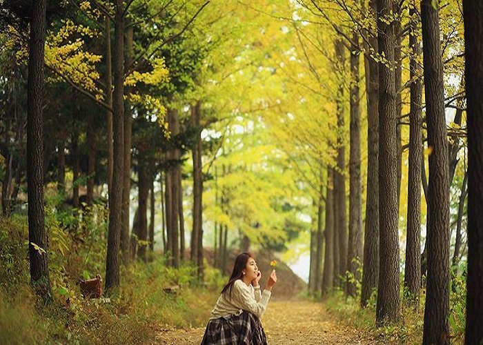 Du Lịch Hàn Quốc: HCM - Seoul - Nami - Everland 5 Ngày
