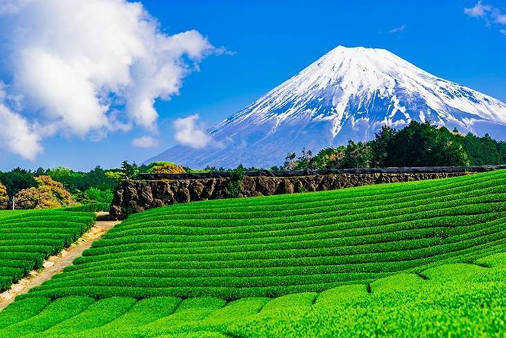 Du Lịch Nhật Bản: Hà Nội - Tokyo - Núi Phú Sĩ 5 Ngày Bay Vietjet