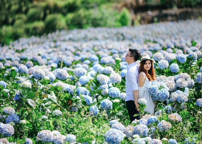 Tour Miền Trung 4N3Đ: Từ Hà Nội - Nha Trang - Đà Lạt, Bay VN + Ks 5*
