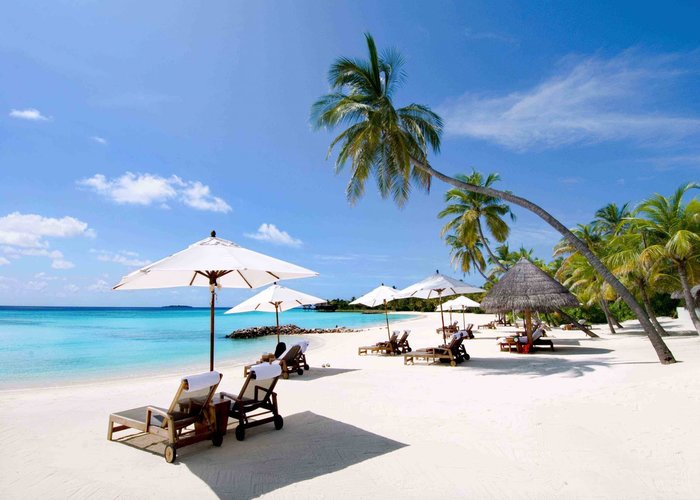 Tour du lịch Nha Trang 3N4Đ: Từ HCM - Nha Trang - Trải Nghiệm - Đế Vương - Du Thuyền Trên Vịnh Nha Trang + Tàu lửa, Khách sạn 4*