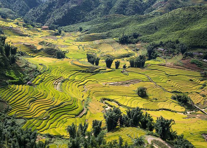 Tour Du Lịch Free & Easy Sapa: Hà Nội - Sapa 2 Ngày + Khách Sạn 3*