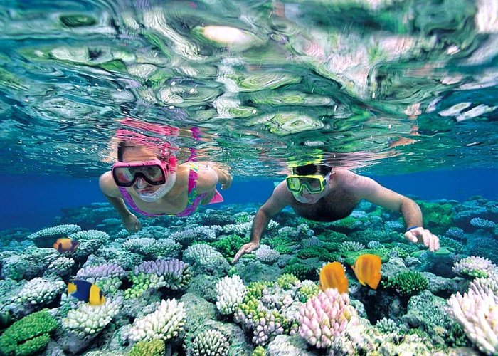 Du Lịch Nha Trang:Land tour Nha Trang - Khám Phá Thành Phố Biển 4 Ngày