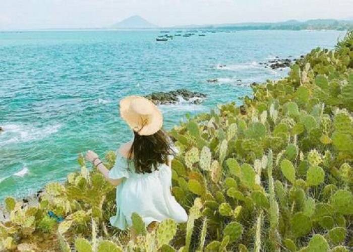Du Lịch Tuy Hòa & Quy Nhơn: Land Tour : Phú Yên - Quy Nhơn 4 ngày - Hoa Vàng Trên Cỏ Xanh