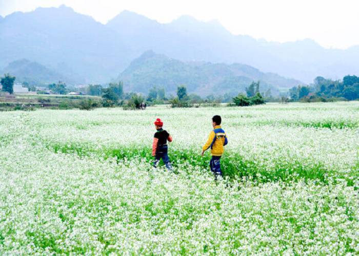 Du Lịch Thung Nai - Mộc Châu - Mai Châu 2 Ngày 