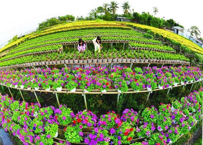 Du Lịch Miền Tây: Sài Gòn - Tràm Chim - Khu Du Lịch Sinh Thái Gáo Giồng 2 Ngày 
