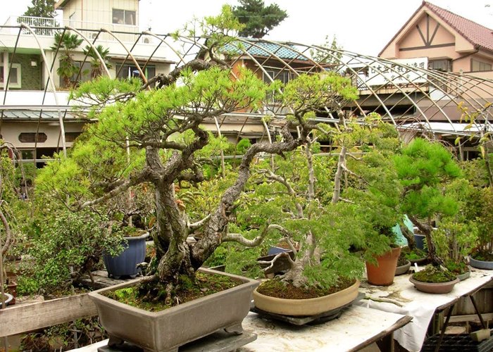 Du Lịch Miền Tây: Sài Gòn - Cái Bè - Vĩnh Long 1 Ngày - Giảm tới 20%