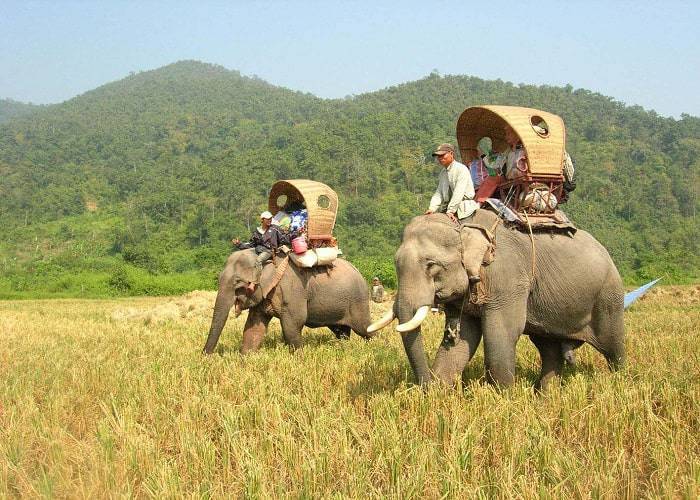 Du Lịch Lào: HCM - Campuchia - Champasak - Savanakhet 4 Ngày