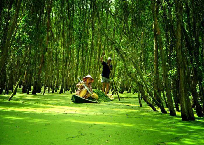 Du Lịch Miền Tây: Đà Nẵng - Đồng Bằng Sông Cửu Long 5 Ngày 4 Đêm