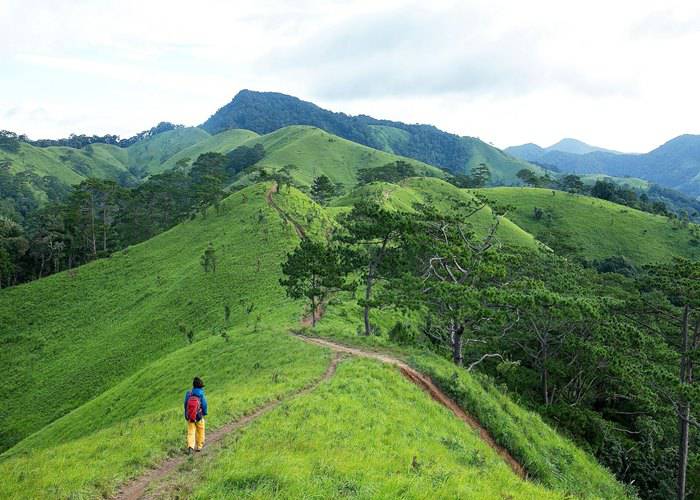 Du Lịch Miền Tây: Đà Nẵng - Đồng Bằng Sông Cửu Long 5 Ngày 4 Đêm