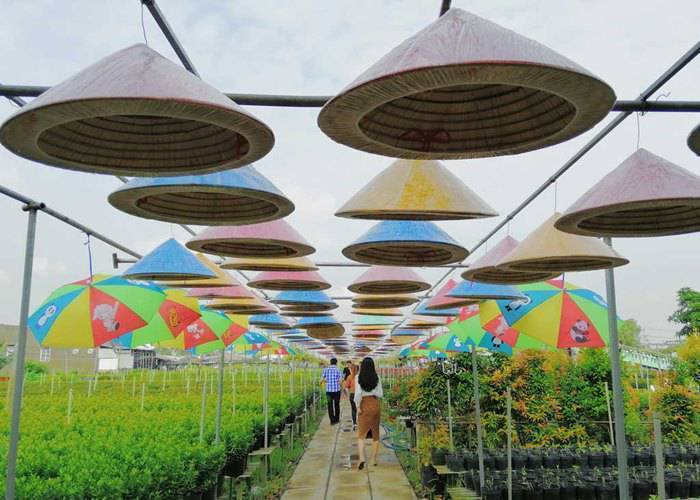 Du lịch Miền Tây: Sài Gòn - Cao Lãnh - Sa Đéc - Sài Gòn 1 Ngày