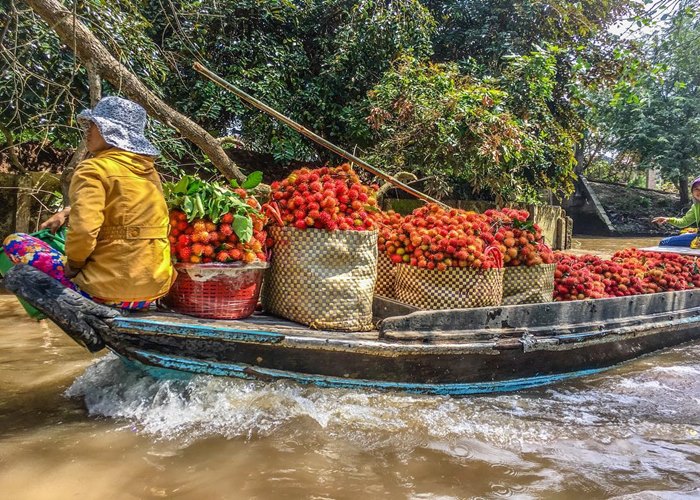 Du Lịch Côn Đảo & Miền Tây: Hải Phòng - Hà Nội - Cần Thơ - Sóc Trăng - Côn Đảo 4 Ngày 3 Đêm