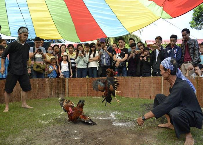 Du lịch Miền Tây: Cần Thơ - Vĩnh Long - Vinh Sang - Chợ Nổi Cái Răng 2 Ngày 1 Đêm