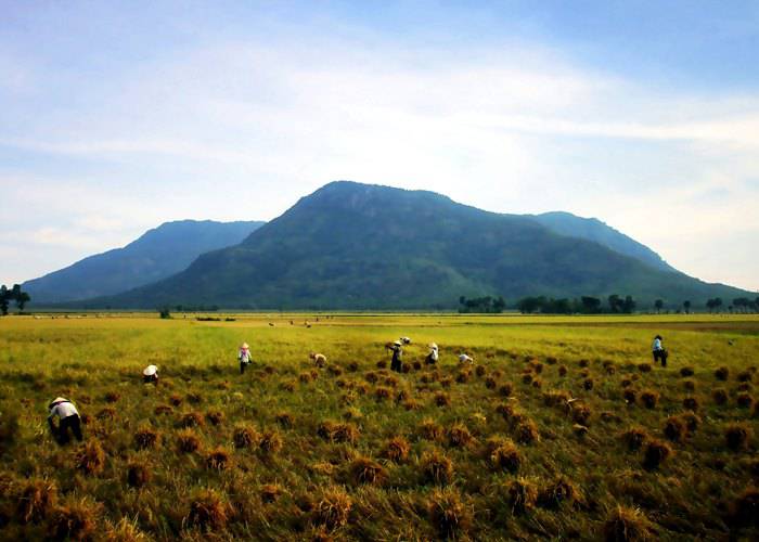 Du lịch Miền Tây: Cần Thơ - Châu Đốc - An Giang 1 Ngày
