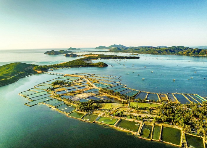 Du Lịch Quy Nhơn - Phú Yên: Tour Đường bộ Sài Gòn - Quy Nhơn - Phú Yên 4 Ngày