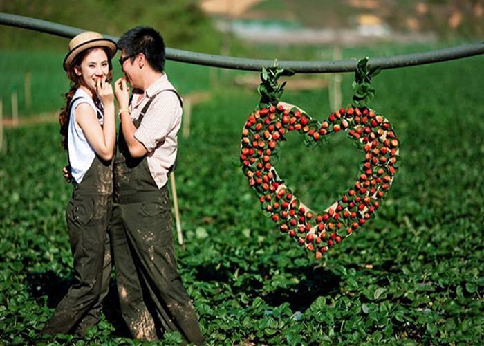 Du Lịch Tuần Trăng Mật Đà Lạt  4 Ngày