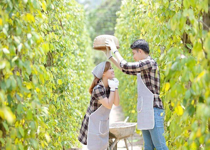 Du Lịch Phú Quốc: Sài Gòn - Phú Quốc 3N2Đ Combo KS & Vinpearl resort 5 sao + Vé Máy Bay