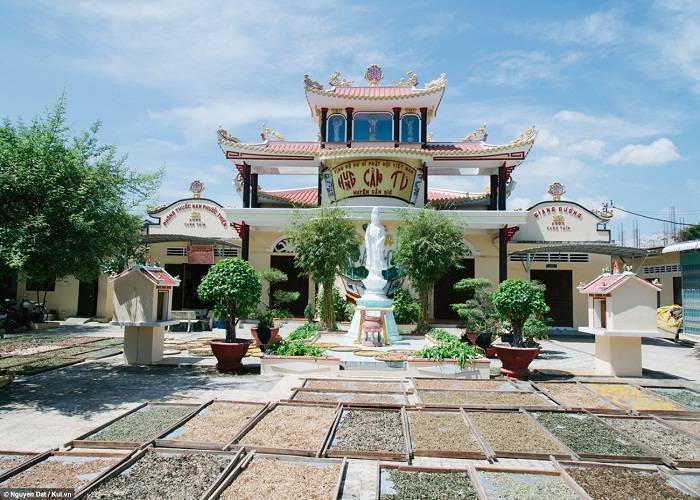 Du Lịch Miền Nam:  Sài Gòn - Cần Giờ - Duyên Hải 1 Ngày