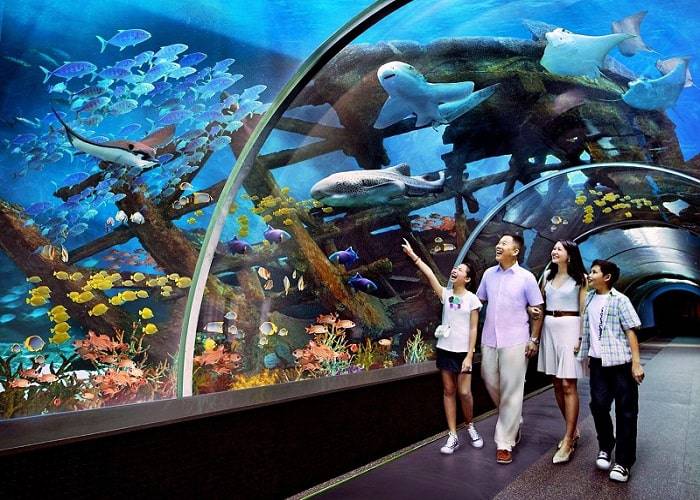 Tour Du Lịch Nha Trang - Phú Yên: Hà Nội - Nha Trang - Phú Yên 4 Ngày + Vé Máy Bay