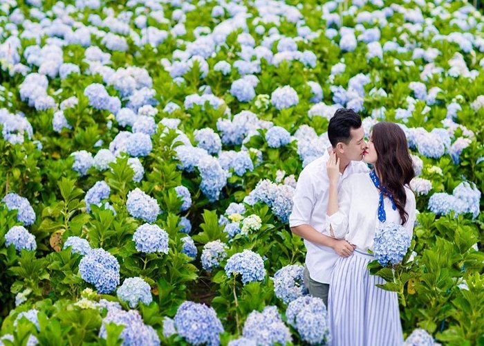 Tour du lịch Đà Lạt 3N3Đ: Từ HCM - Đà Lạt - Thiên Đường Bốn Mùa Hoa, Xe Giường Nằm
