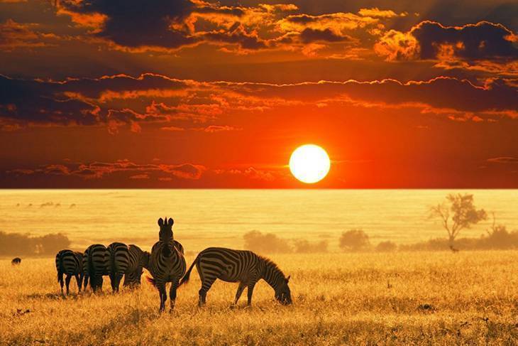 Du Lịch Nam Phi: Hà Nội - Johannesburg - Pretoria - Mabula Game Lodge - Cape Town - “Săn Cá Voi” Tại Thị Trấn Hermanus 8 Ngày Bay Singapore Airlines