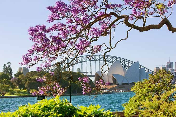 Du Lịch Úc: Hà Nội - Melbourne - Dandenong - Đảo Philip - Canberra - Sydney - Blue Mountain 7 Ngày