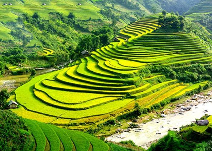 Du Lịch Sapa: Hải Phòng- Cát Cát - Hàm Rồng - Thác Bạc Bằng Tàu Hỏa 3 Ngày