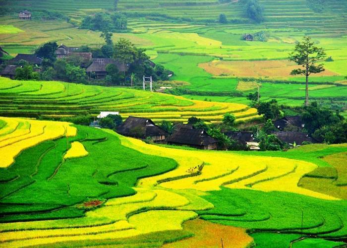 Du Lịch Sapa: Hải Phòng - Sapa - Cát Cát - Hàm Rồng - Bằng Tàu Hỏa 2 Ngày 